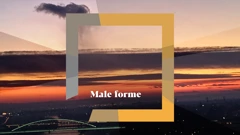 Male forme, Foto: HRT/HRT