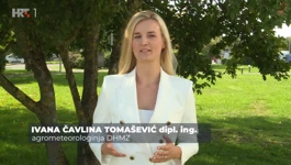 Ivana Čavlina Tomašević