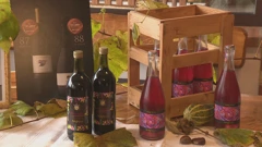 Nagrađivano i drugačije pjenušavo vino