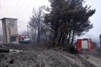 Tučepi: Posljedice katastrofalnog požara  , Foto: Ivo Cagalj/Pixsell