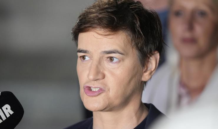 Brnabić osporava sastav i šefa promatračke misije EP-a za izbore u Srbiji