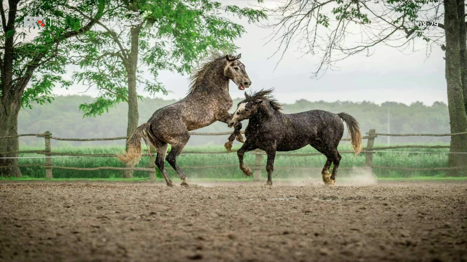 RuralFoto