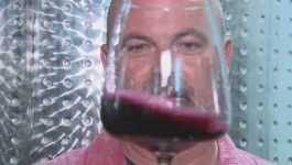 Kušanje vina