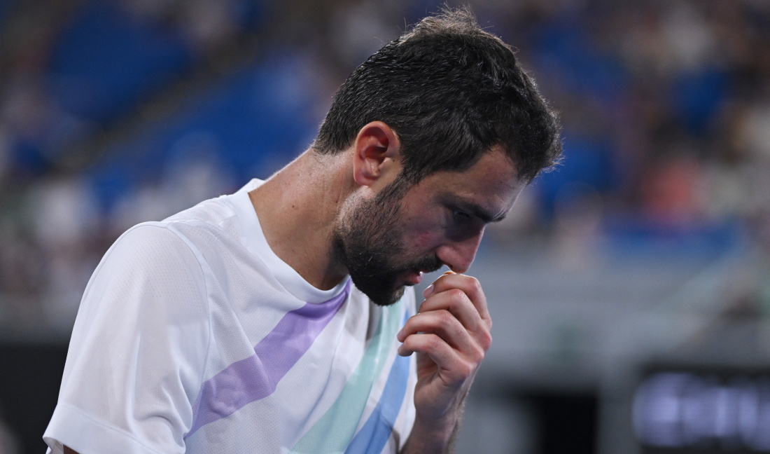 cilic marin 20260217231649