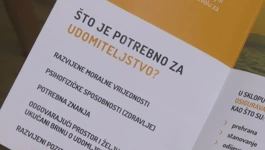 Udomiteljstvo