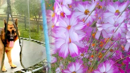 Razglednica iz Martinca - dnevnik jednog povratnika (43. dio)