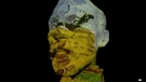 Multimedijski Van Gogh