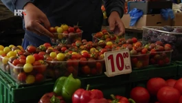 Svježe i domaće