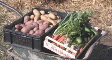 Gdje pucaju kratki opskrbni lanci?