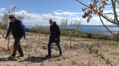 Braća Kurtović, vlasnici plantaže badema , Foto: Plodovi zemlje/HTV/HRT