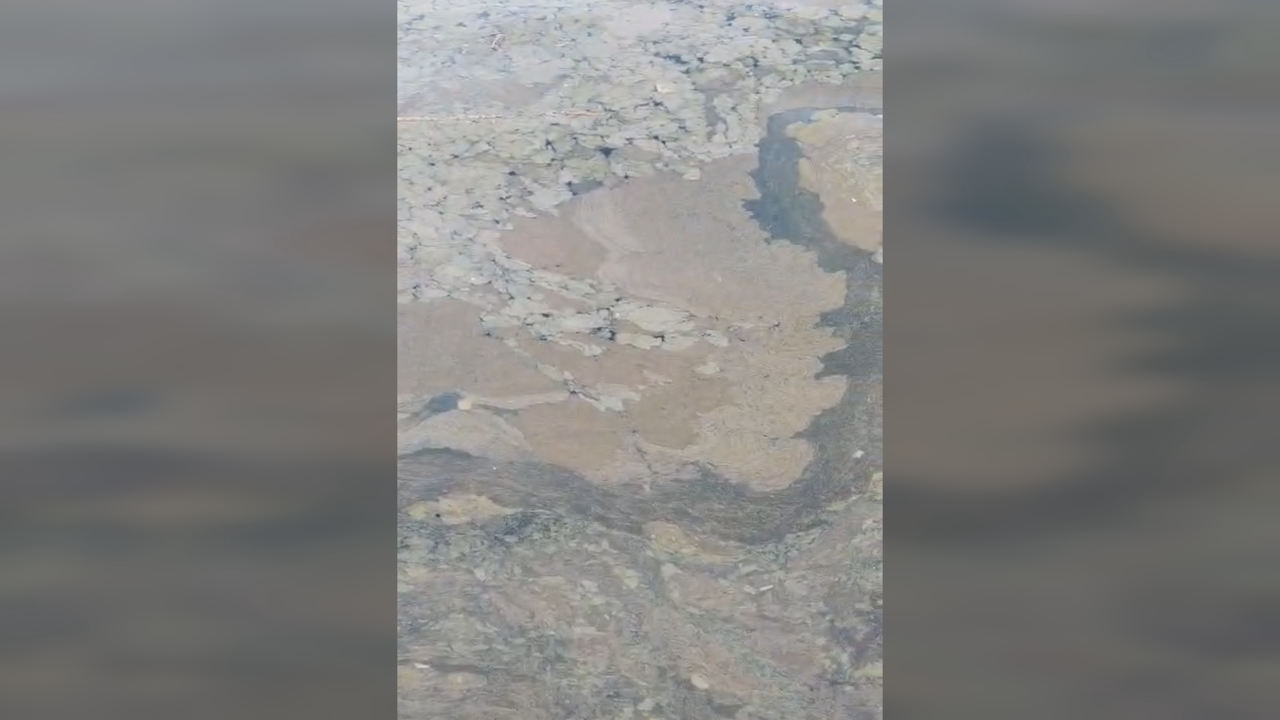 Nedjelja, 15. veljače na Prvom, Foto: Rijeka: More/HRT