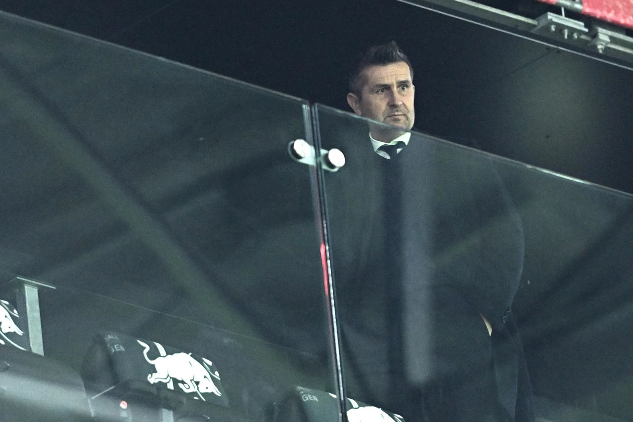 Nenad Bjelica