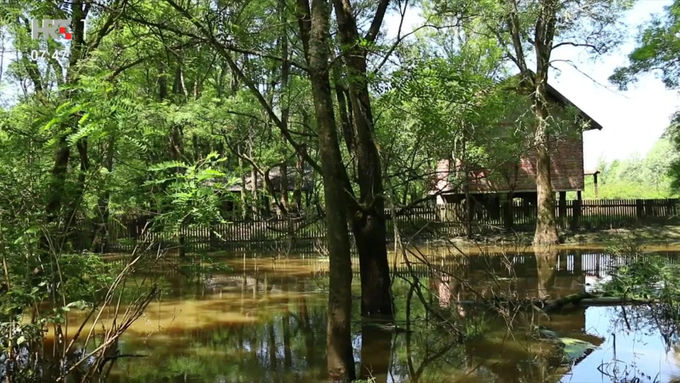 Lonjsko polje