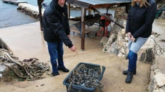 Pomor dagnji na uzgajalištu u Maslenici