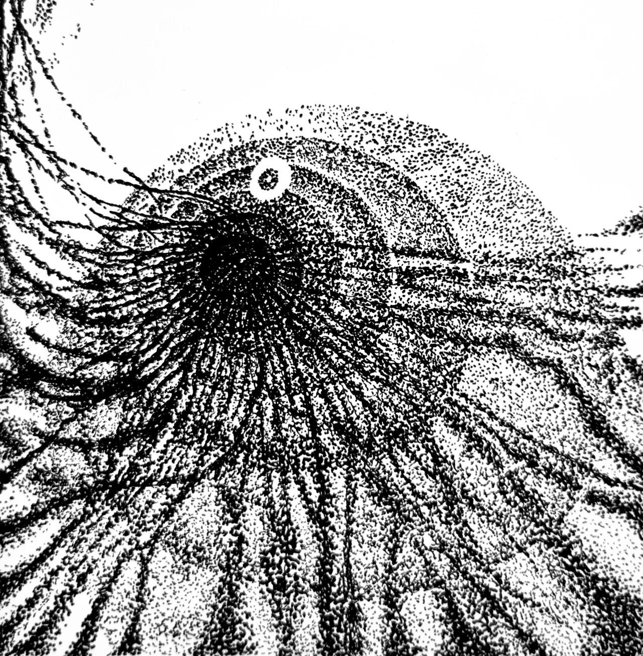 Dubravka Kanjski: Mysteries of the Fourth Dimension, Foto: Atelje Yellow time/Radio Rijeka