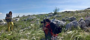 Srijeda, 29. travnja na Prvom , Foto: Planine/dokumentarna serija 