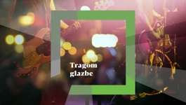 Tragom glazbe
