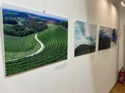 Izložba "Upoznaj Hrvatsku", Foto: Borna Boris Baletić/HRT