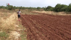 Posađeni češnjak, Foto: HTV/HRT