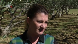 Ana Bilač