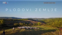 Plodovi zemlje, Foto: HRT/HRT