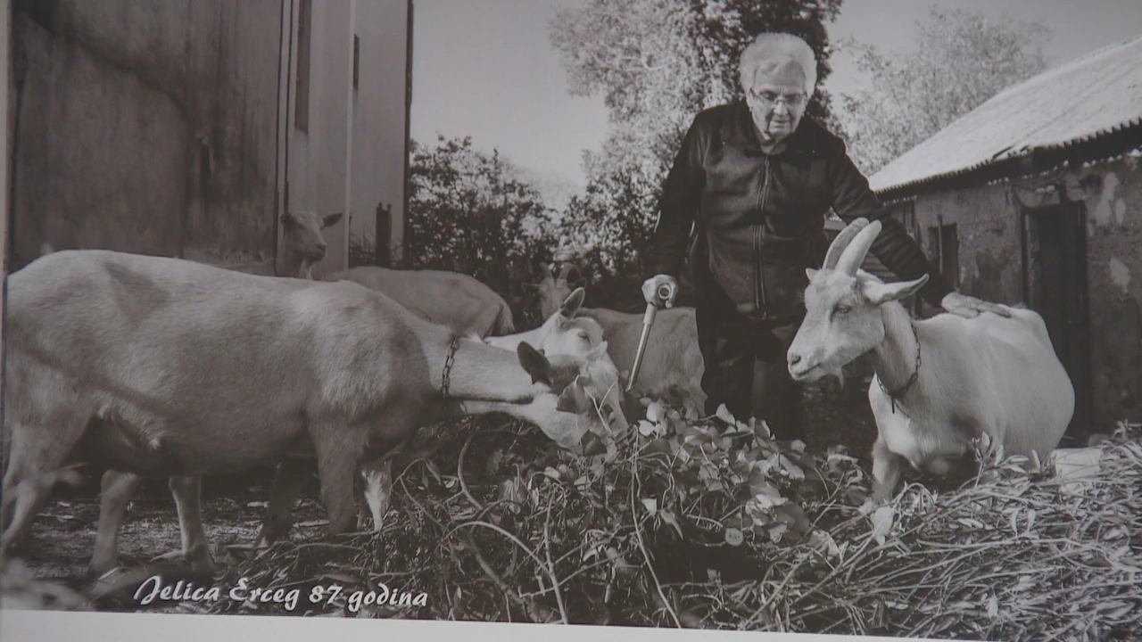 Kalendar iz Bilica, Foto: Petar Mikuličin/HRT