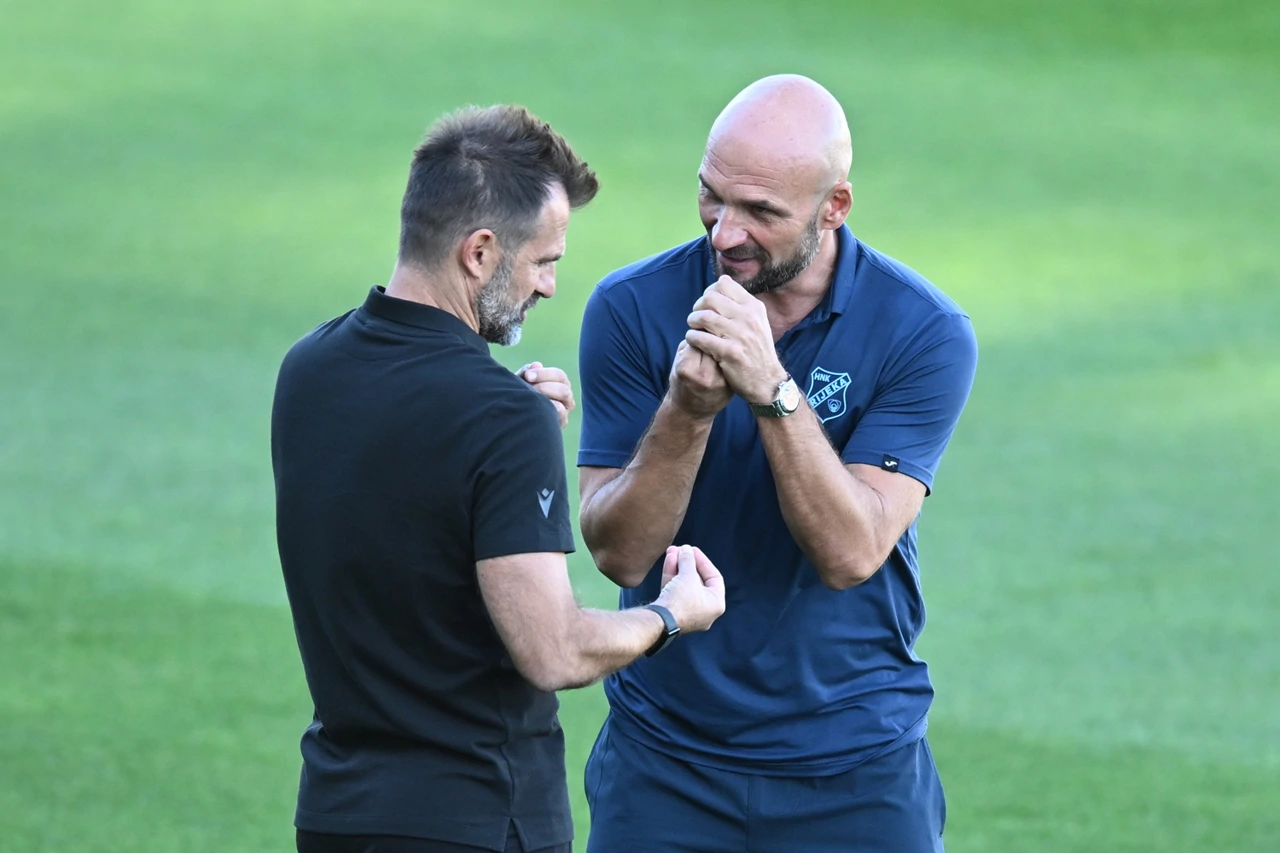 Ivan Leko, Željko Sopić