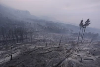 Opožareno područje Parka prirode Biokovo, Foto: Ivo Cagalj/Pixsell