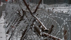 Migrantska kriza