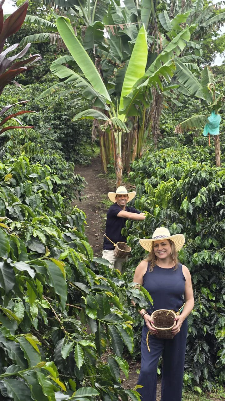 Cafetal en Colombia / Plantaža kave u Kolumbiji, Foto: Cámara de Comercio Colombia Croacia / Kolumbijsko-hrvatska gospodarska komora//