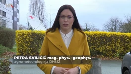 Petra Sviličić