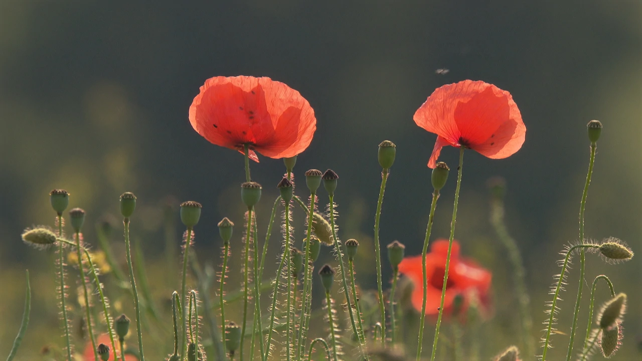 Subota, 2. listopada na Drugom 