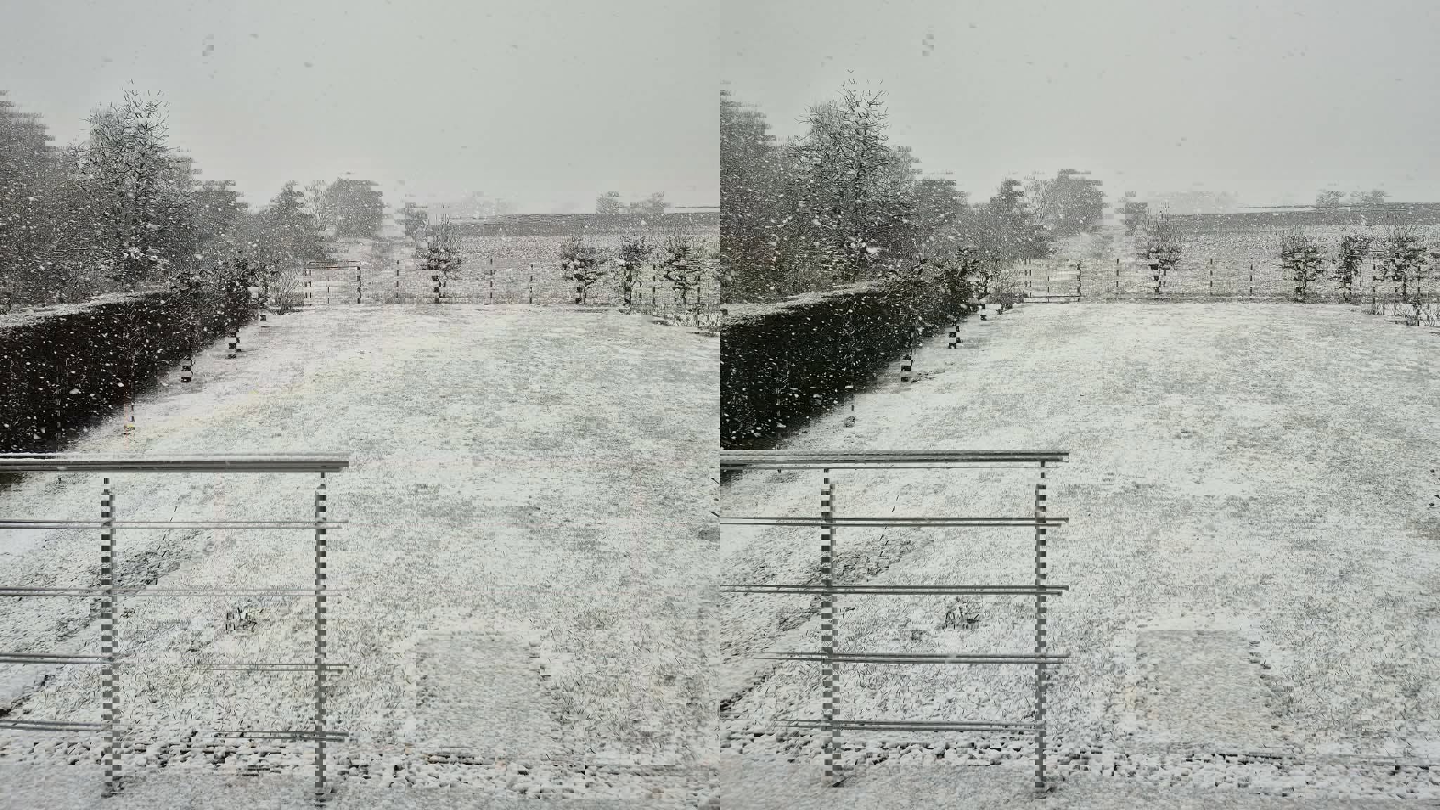 71272066 86dd 4274 ae9f c38eb17ccb1c 1 20260220091027