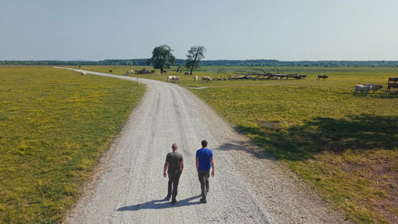 Srijeda, 10. prosinca na Prvom