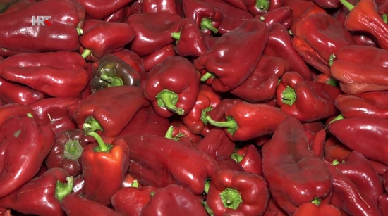 Novi simbol sela Tavankuta - paprika