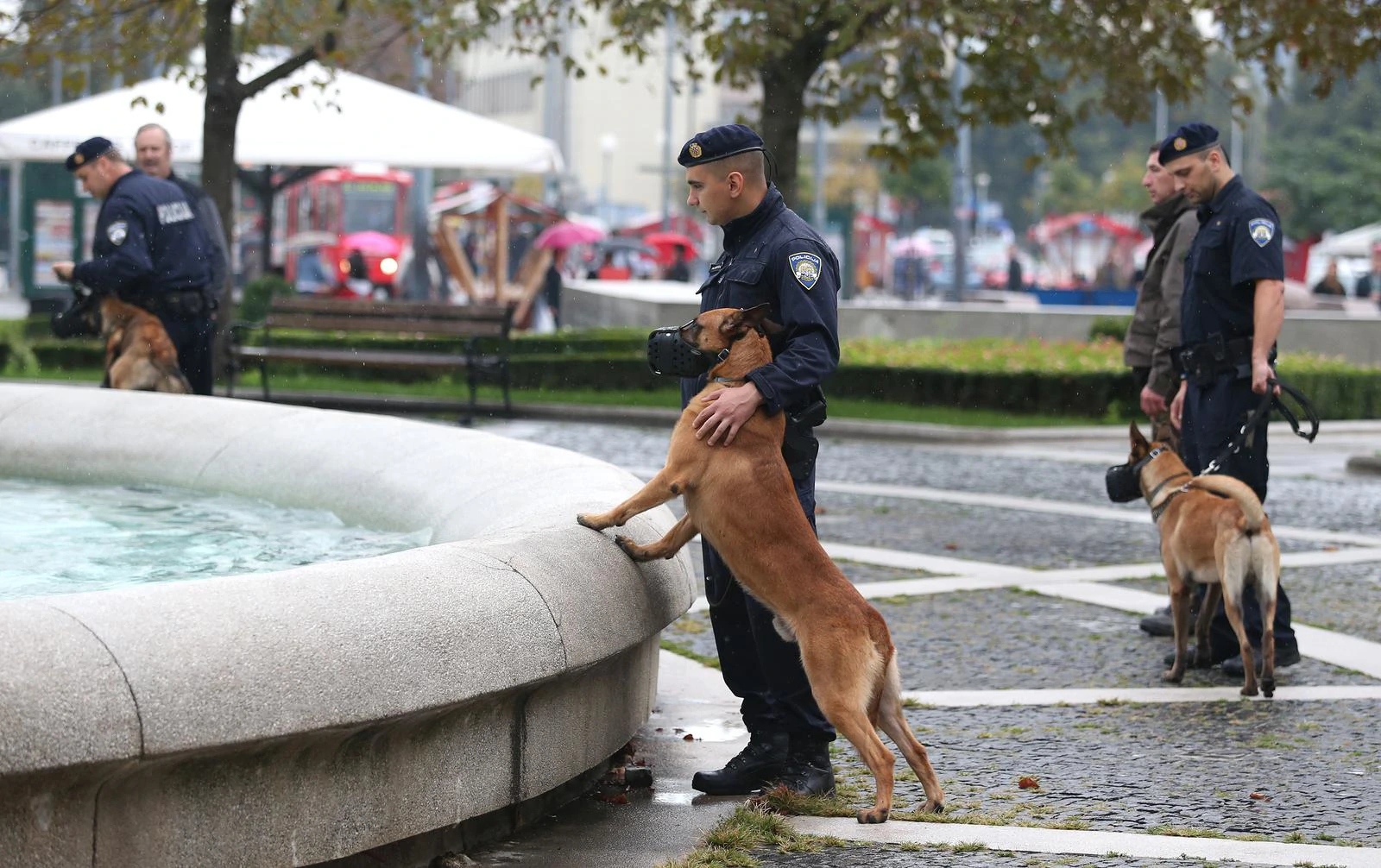 Četveronožni heroji: Policijski psi otkrivaju drogu, eksplozive i dokaze