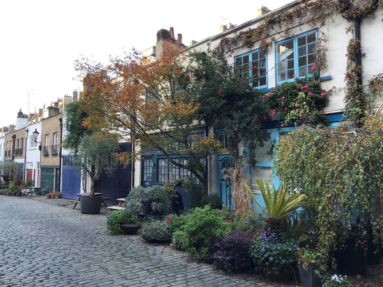 Ponedjeljak, 30. siječnja na Drugom