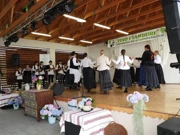 20. Festival zlevanke, vina i tambure u Sumartonu, Foto: Hrvatski glasnik/.