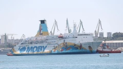 Moby Drea