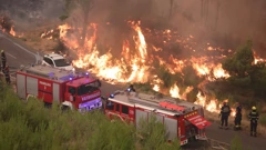 Veliki požar u Dalmaciji 