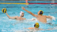 Mladost-Jug