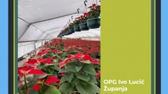 agrometeorološka prognoza iz Plodova zemlje, Foto: HTV/HRT