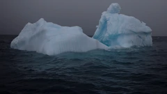 Morski led na Antarktici jako se smanjio 