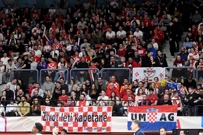 Navijači na utakmici Hrvatske i Njemačke, Foto: Goran Mehkek/CROPIX