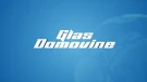Glas domovine