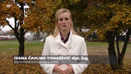 Ivana Čavlina Tomašević