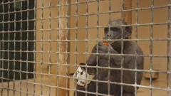 Subota, 28. ožujka na Prvom, Foto: Divlja ZOOna/dokumentarna serija