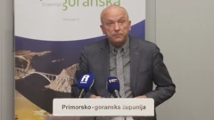 Ravnatelj NZJZ-a Primorsko-goranske županije Vladimir Mićović 
