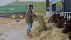 Subota, 27. rujna na Drugom, Foto: Clarksonova farma/2. sezona dokumentarne serije