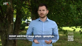 Josip Meštrić